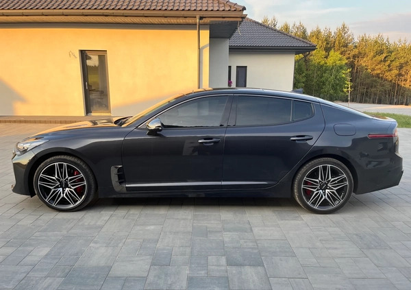 Kia Stinger cena 157000 przebieg: 6200, rok produkcji 2022 z Turek małe 667